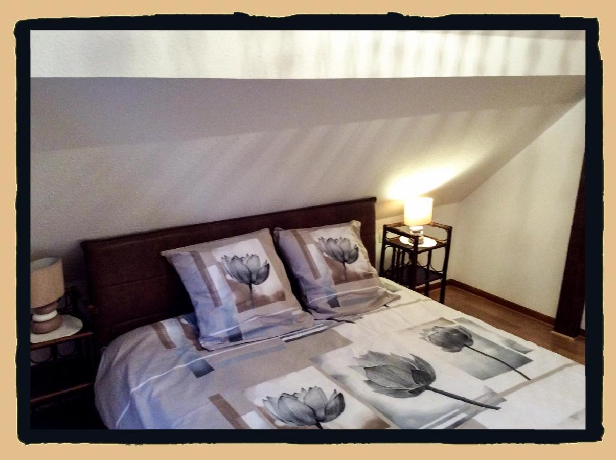 Residence Des Lentilles Schiltigheim Kültér fotó
